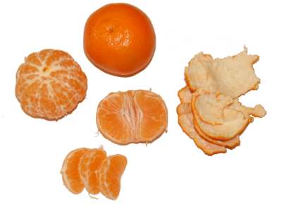 ����� ���� ����� ������� Citrus reticulata.